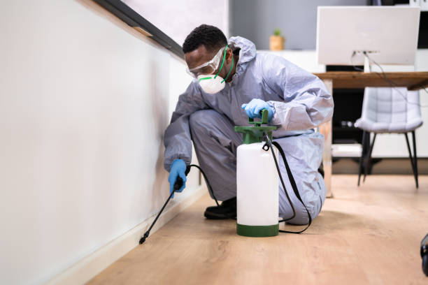 Best Residential Pest Control  in Elmhurst, IL